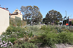 Grounds