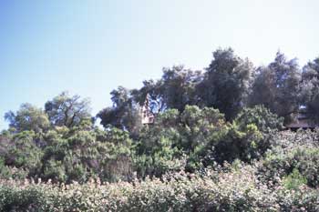 Mission from a Distance