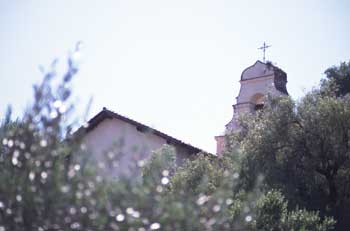 Mission Through Trees