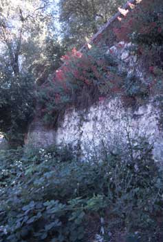 Retaining Wall