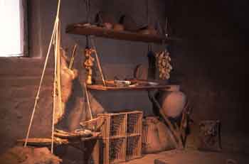 Officer Family Housing